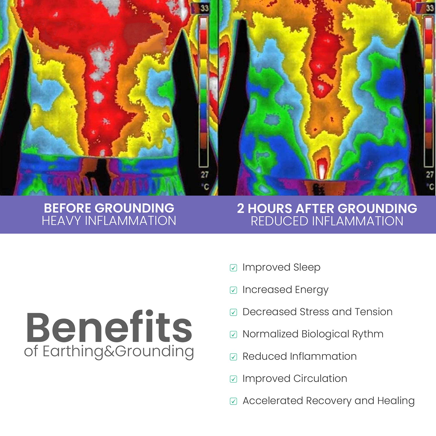 Night Theory Grounding Fitted Bed Sheet